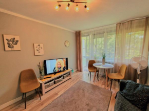 Apartament Wapienna